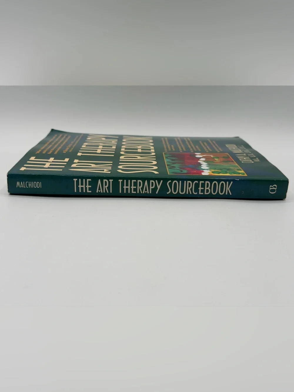 The Art Therapy Sourcebook by Cathy A. Malchiodi (Paperback Book, 1998)